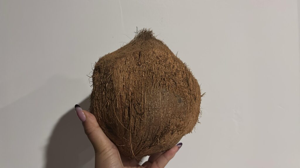 coco en la alimentacion, alimentacion saludable